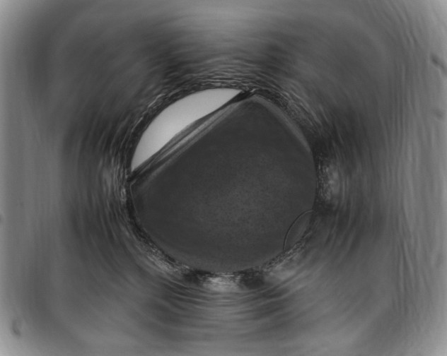 X0000098000232200804141214