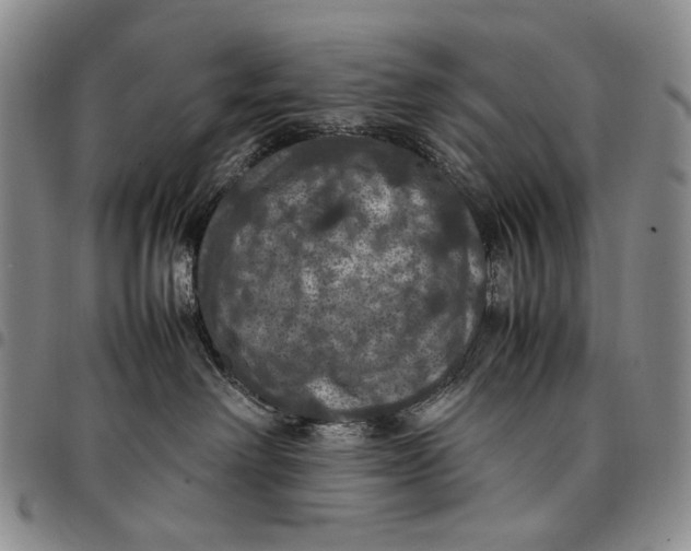 X0000098000238200804141214