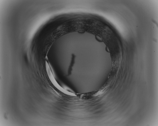 X0000098000239200804141214