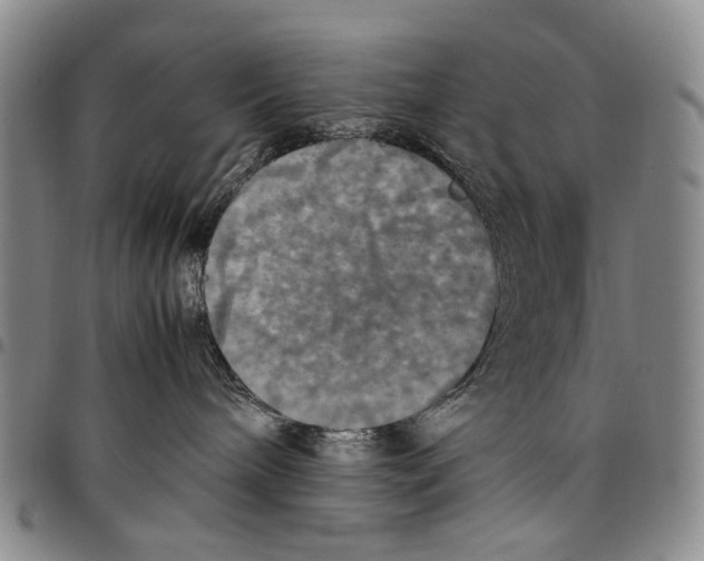 X0000098000240200804141214