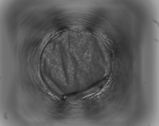 X0000098000241200804141214