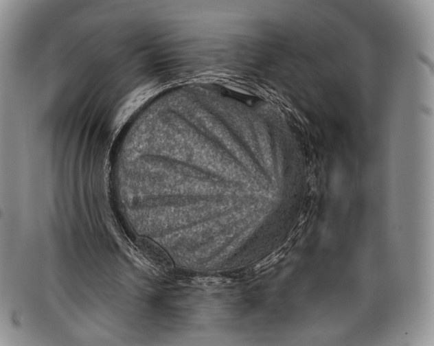 X0000098000242200804141214
