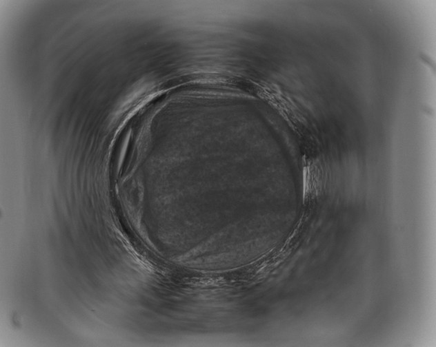 X0000098000243200804141214