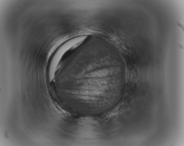 X0000098000244200804141214