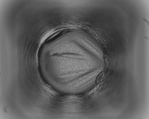 X0000098000246200804141214
