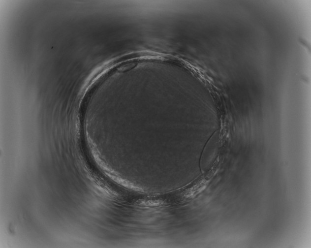 X0000098000247200804141214