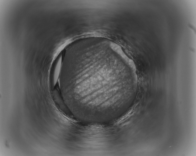X0000098000248200804141214