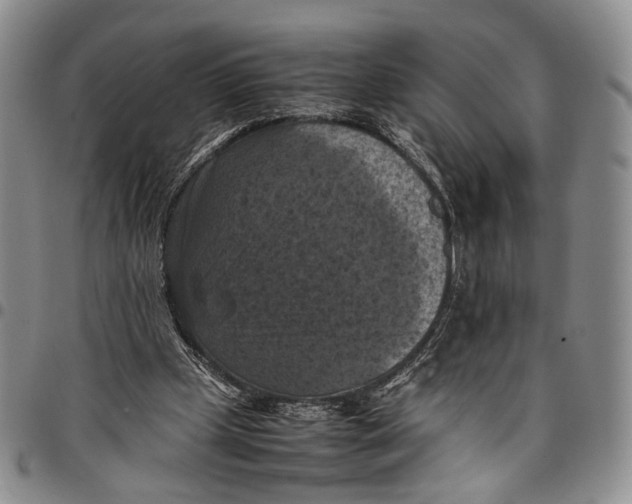 X0000098000249200804141214