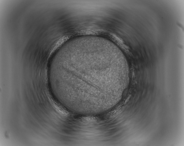 X0000098000250200804141214