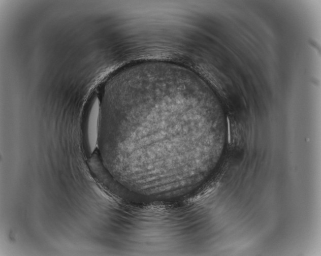 X0000098000252200804141214