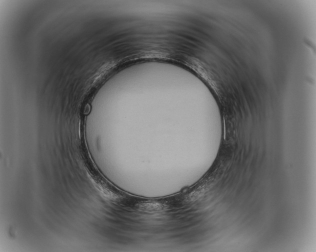 X0000098000253200804141214