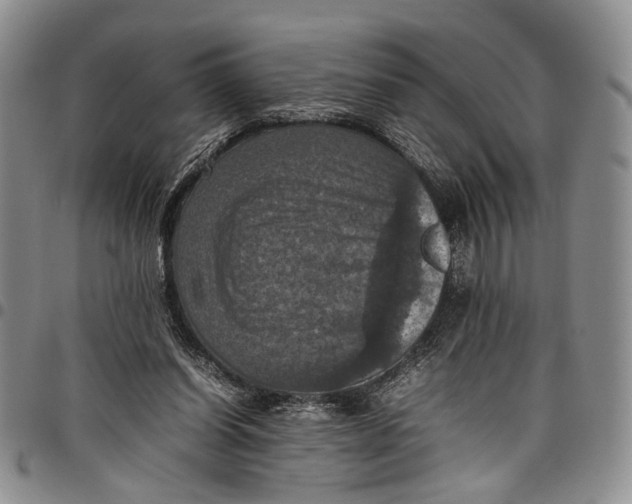 X0000098000254200804141214