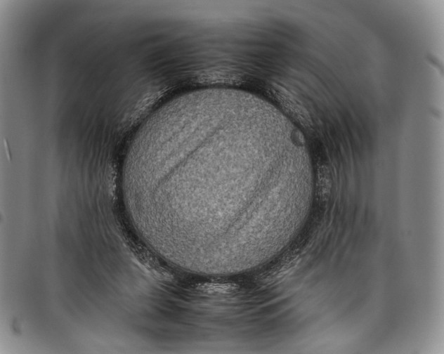 X0000098000255200804141214