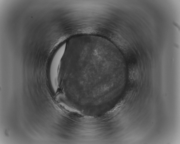 X0000098000256200804141214