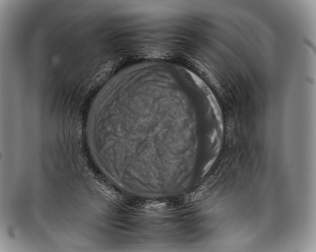 X0000098000257200804141214