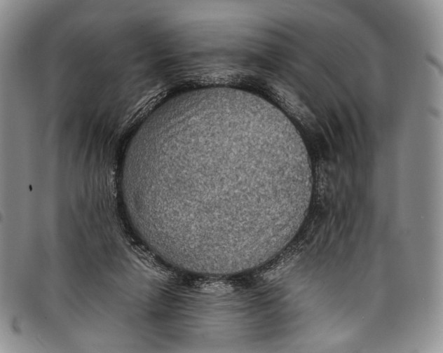 X0000098000258200804141214