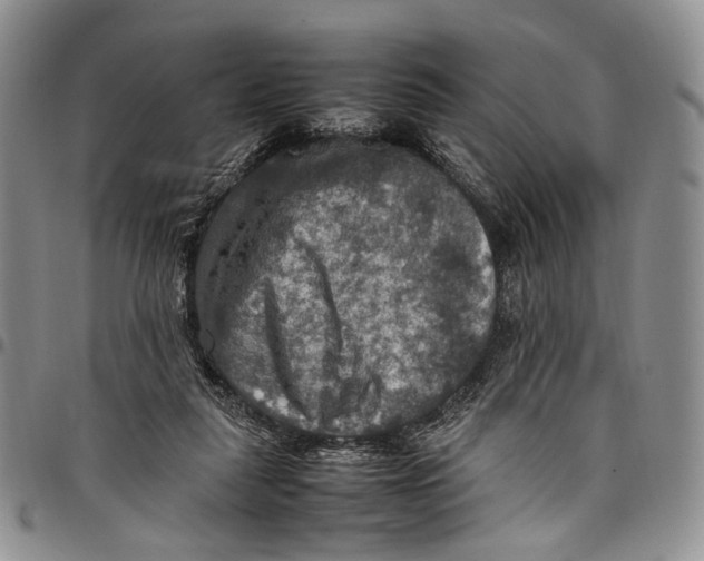 X0000098000259200804141214
