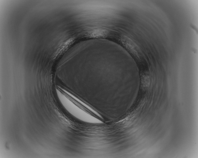 X0000098000260200804141214