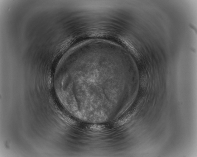 X0000098000261200804141214