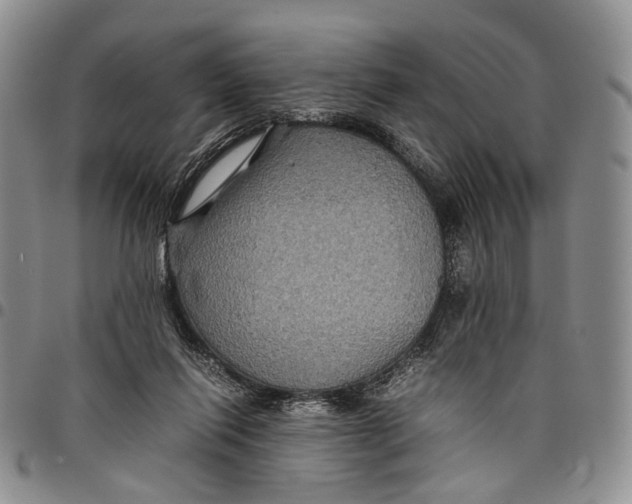 X0000098000262200804141214