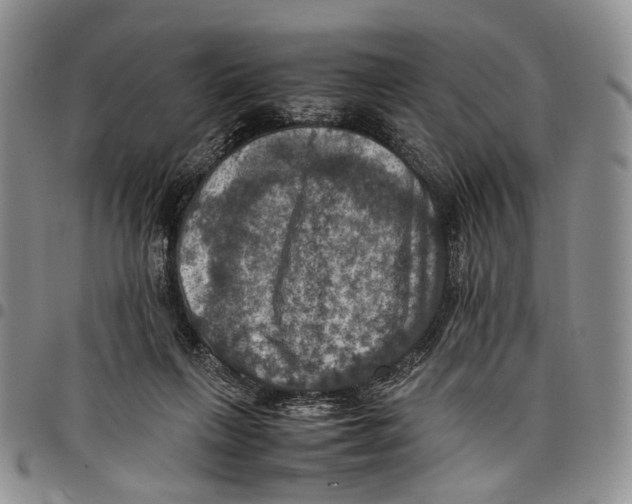X0000098000263200804141214