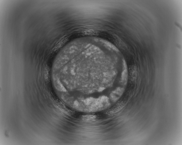 X0000098000266200804141214