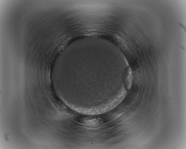X0000098000267200804141214