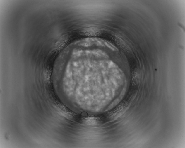 X0000098000268200804141214