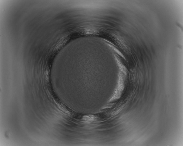 X0000098000269200804141214