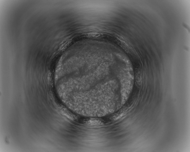 X0000098000270200804141214