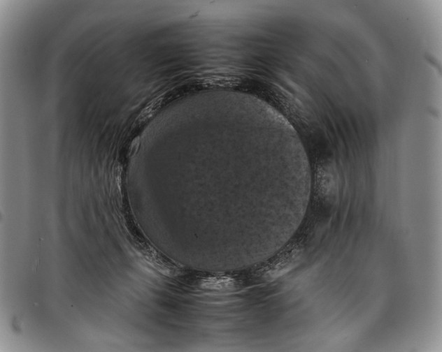 X0000098000271200804141214