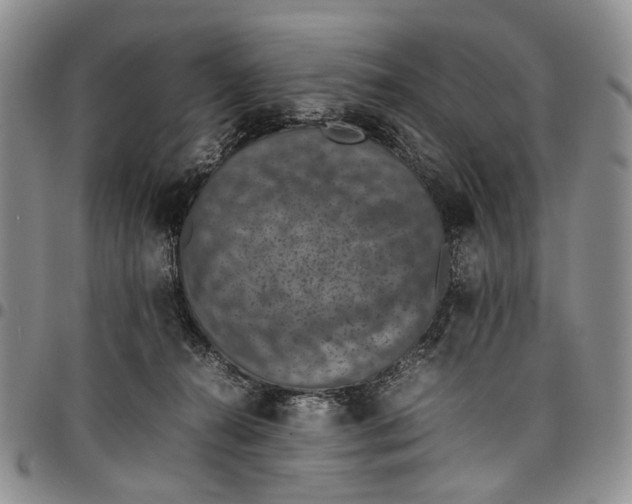 X0000098000272200804141214