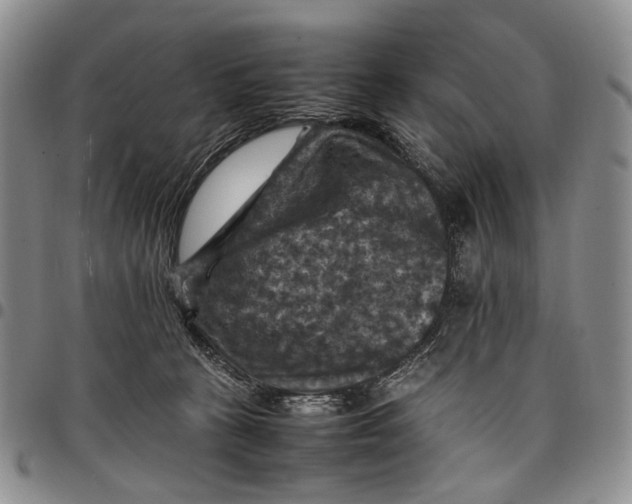 X0000098000273200804141214