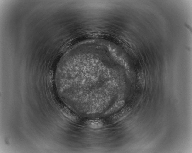 X0000098000275200804141214
