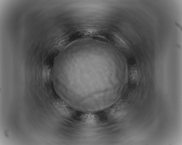 X0000098000276200804141214