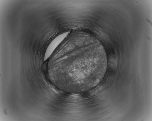 X0000098000280200804141214