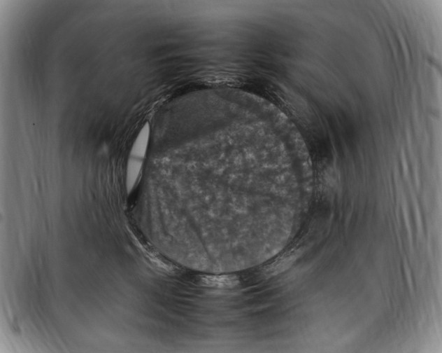 X0000098000281200804141214