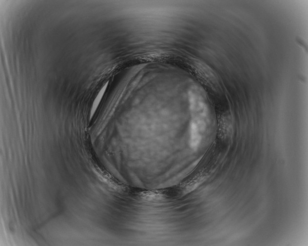 X0000098000284200804141214