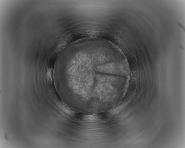 X0000098000286200804141214
