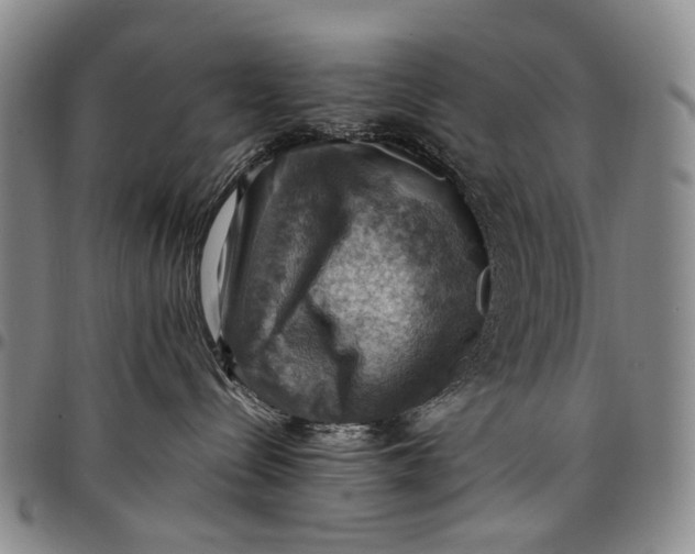 X0000098000288200804141214