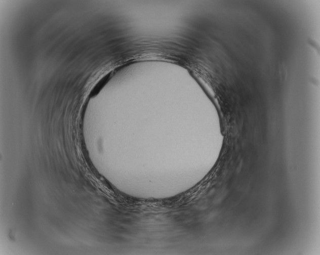 X0000098000289200804141214
