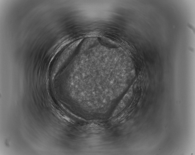 X0000098000290200804141214