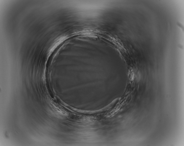 X0000098000292200804141213