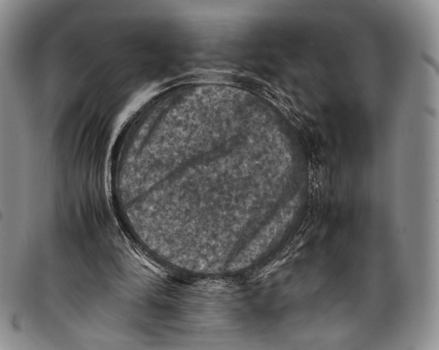 X0000098000294200804141213