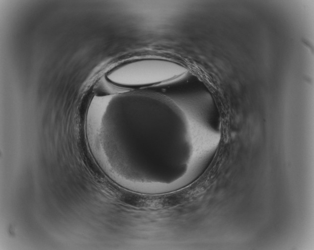 X0000098000295200804141213