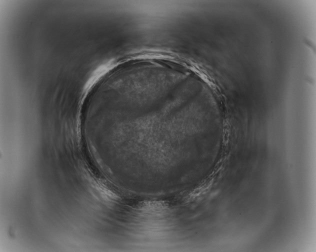 X0000098000296200804141213