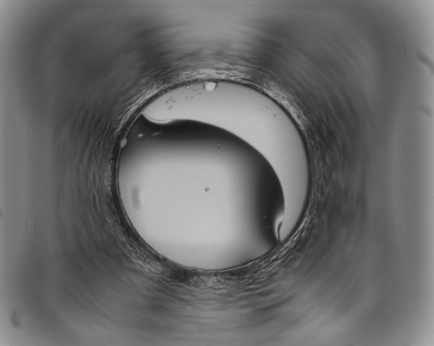 X0000098000297200804141213