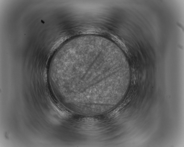 X0000098000298200804141213