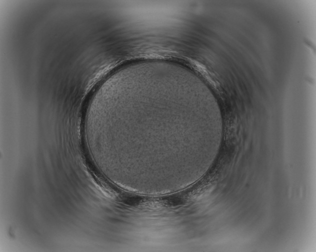 X0000098000299200804141213