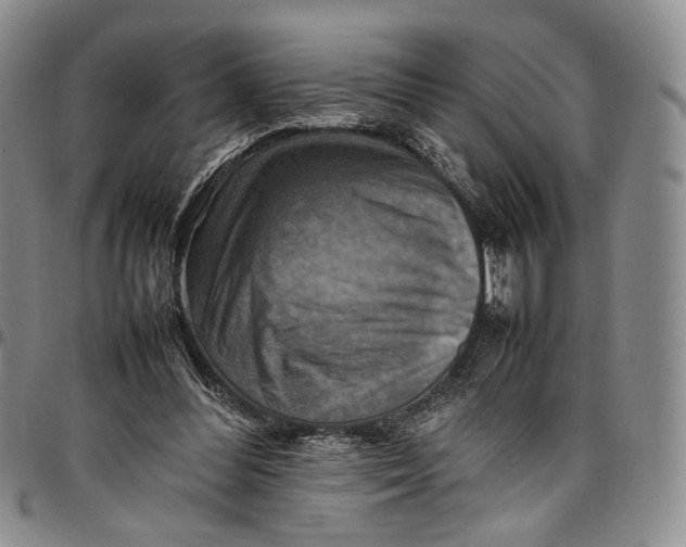 X0000098000300200804141213